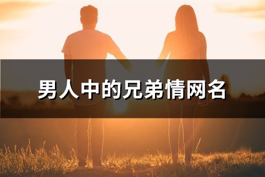 男人中的兄弟情网名(共66个)