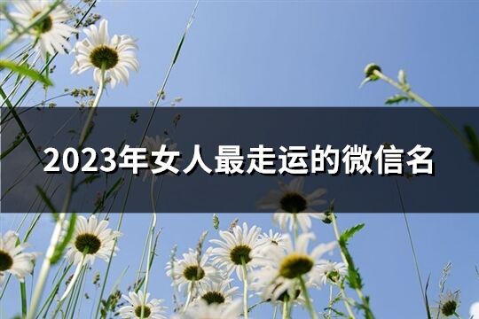 2023年女人最走运的微信名(共699个)