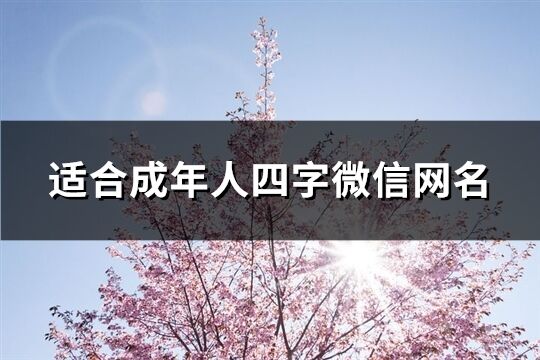 适合成年人四字微信网名(共298个)