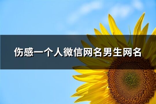 伤感一个人微信网名男生网名(135个)