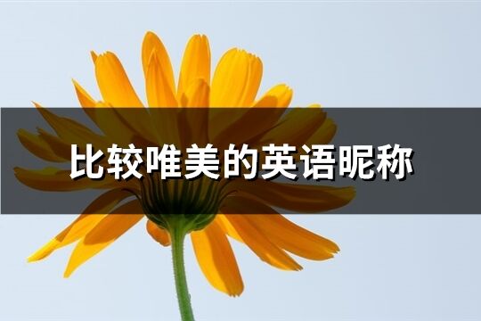 比较唯美的英语昵称(共97个)