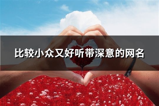 比较小众又好听带深意的网名(精选128个)