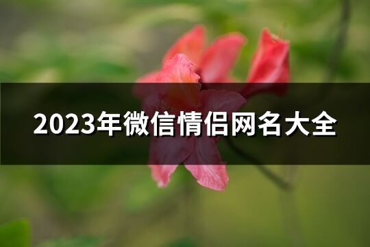 2023年微信情侣网名大全(347个)