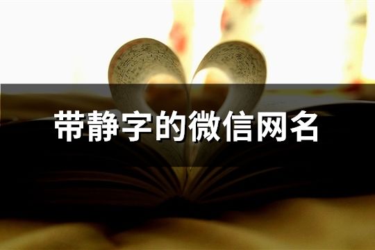 带静字的微信网名(精选62个)