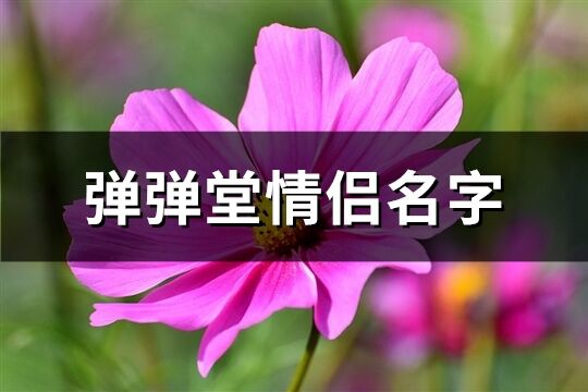 弹弹堂情侣名字(共65个)