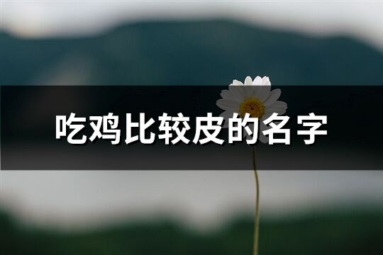 吃鸡比较皮的名字(共118个)