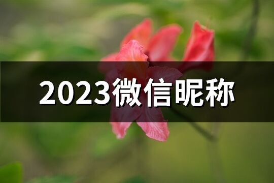 2023微信昵称(共2199个)