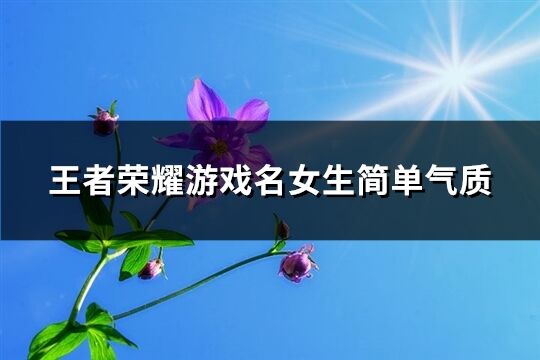 王者荣耀游戏名女生简单气质(共625个)