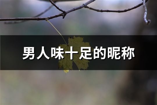 男人味十足的昵称(42个)