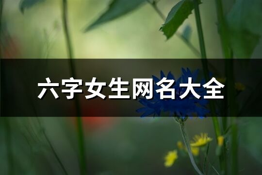 六字女生网名大全(共917个)