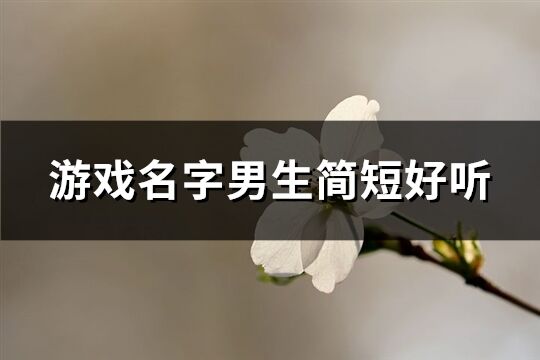 游戏名字男生简短好听(共946个)