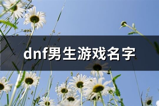 dnf男生游戏名字(共333个)