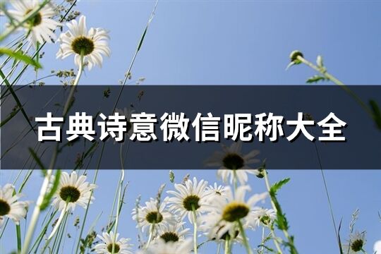 古典诗意微信昵称大全(127个)