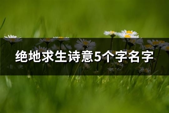 绝地求生诗意5个字名字(1286个)