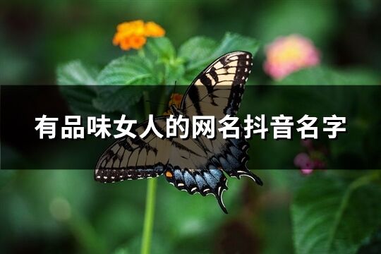 有品味女人的网名抖音名字(547个)