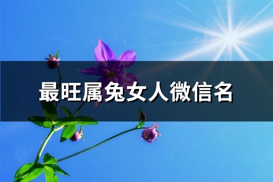 最旺属兔女人微信名(527个)