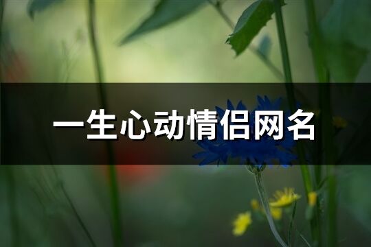 一生心动情侣网名(176个)