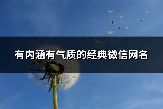 有内涵有气质的经典微信网名(精选186个)