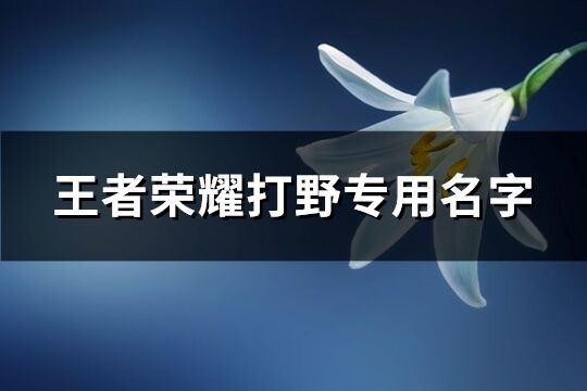 王者荣耀打野专用名字(共162个)