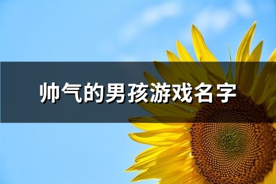 帅气的男孩游戏名字(556个)