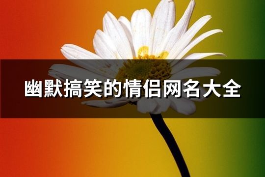 幽默搞笑的情侣网名大全(140个)