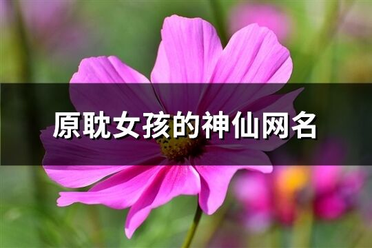 原耽女孩的神仙网名(共67个)