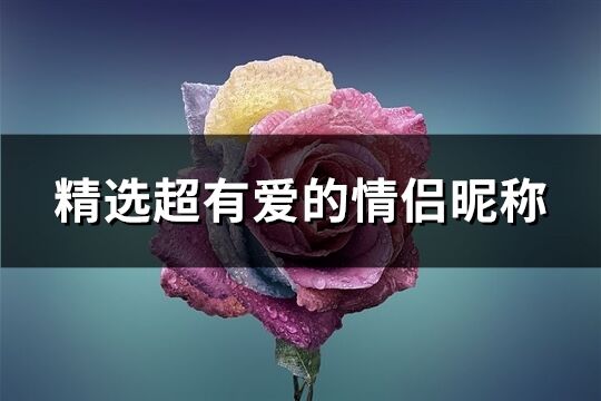 精选超有爱的情侣昵称(共278个)