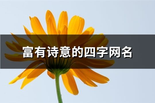 富有诗意的四字网名(精选394个)