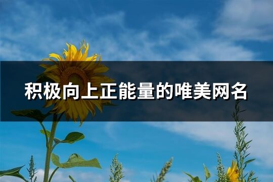 积极向上正能量的唯美网名(共155个)