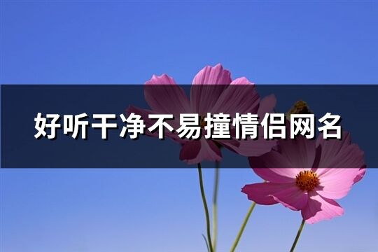 好听干净不易撞情侣网名(96个)