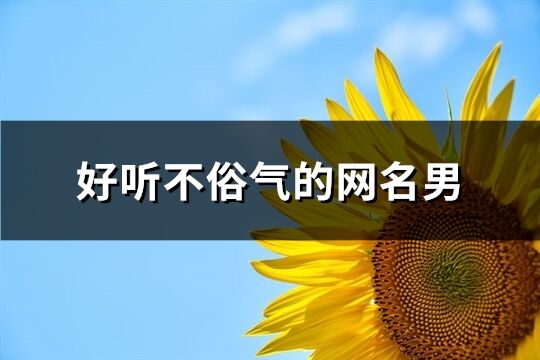 好听不俗气的网名男(共282个)