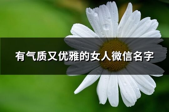 有气质又优雅的女人微信名字(精选260个)