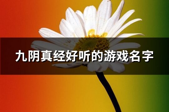 九阴真经好听的游戏名字(共329个)