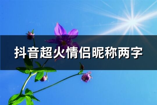 抖音超火情侣昵称两字(181个)