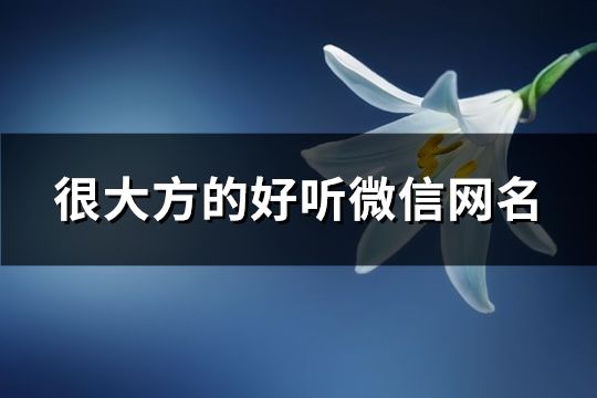 很大方的好听微信网名(152个)