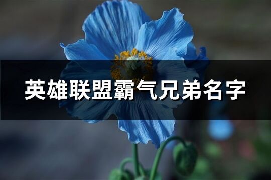 英雄联盟霸气兄弟名字(共61个)