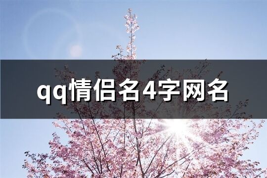 qq情侣名4字网名(701个)