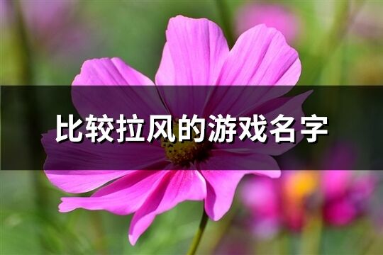 比较拉风的游戏名字(共568个)