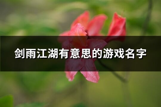 剑雨江湖有意思的游戏名字(206个)