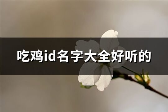 吃鸡id名字大全好听的(精选68个)