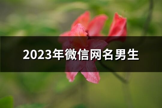 2023年微信网名男生(优选801个)