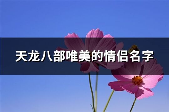 天龙八部唯美的情侣名字(共310个)