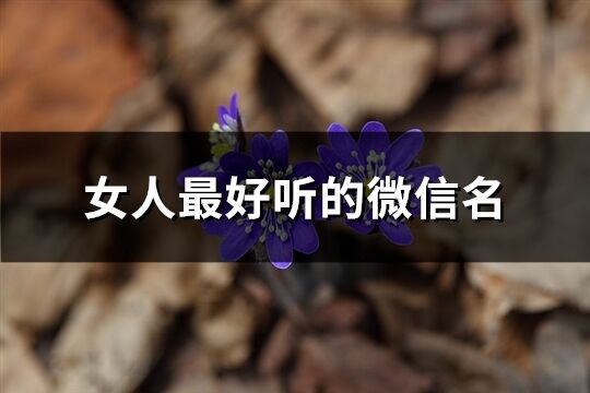 女人最好听的微信名(586个)