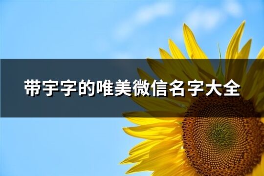 带宇字的唯美微信名字大全(共102个)