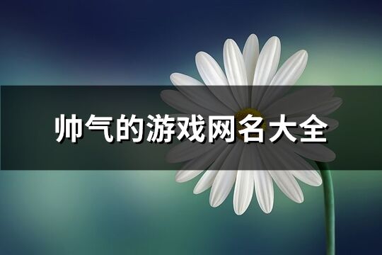 帅气的游戏网名大全(291个)