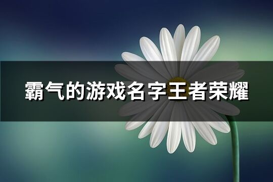 霸气的游戏名字王者荣耀(共301个)