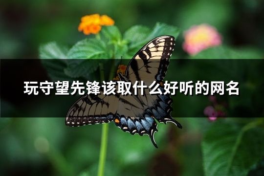 玩守望先锋该取什么好听的网名(141个)