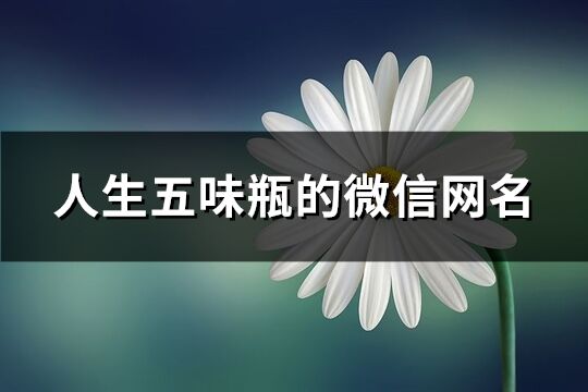 人生五味瓶的微信网名(共98个)