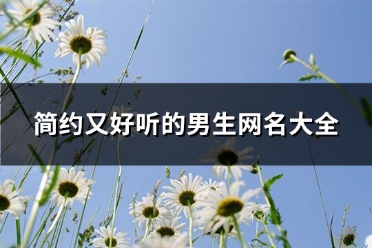 简约又好听的男生网名大全(471个)