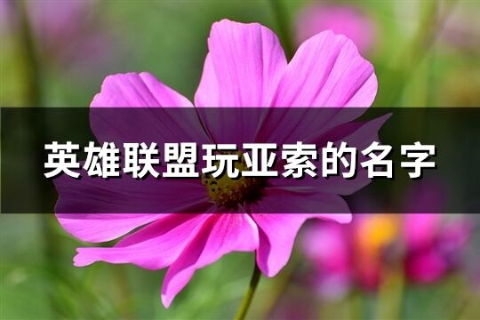 英雄联盟玩亚索的名字(195个)